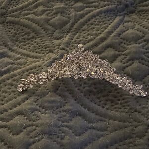 Sparkling Silver Hair Clip